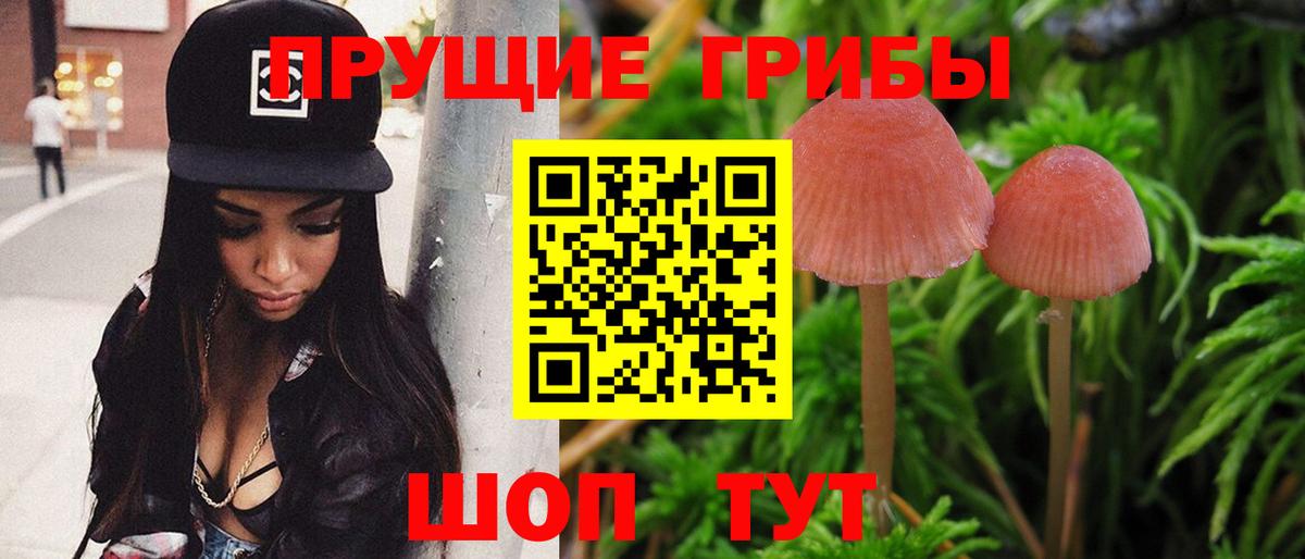 Шуя  Псилоцибиновые грибы Magic Shrooms  Вход с VPN 